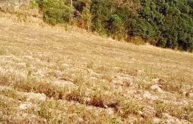 Imagem 6: Venha Sentir a Tranquilidade do Interior!