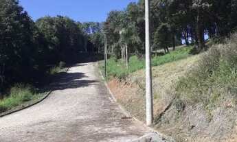 Imagem 3: CAXIAS DO SUL - Terreno Padrão - LINHA 40