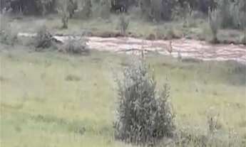 Imagem 5: Área de Terra à venda em Área Rural de Monte Mor, Monte Mor - SP