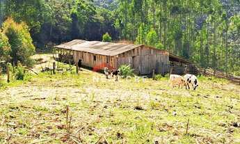 Imagem 2: Chácara em Campo Largo - Pr - Retiro - Retiro Grande/PR