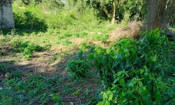 Imagem 6: Sitio com Galpão de 180M2 e boa area de terra em São Pedro da Aldeia Facil acesso