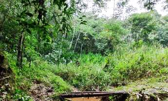 Imagem 2: Terreno 11mil qm com casinha pomar e floresta