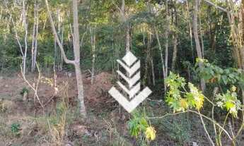 Imagem 3: Terreno à venda, 2950 m² por R$ 190.000 - Parque Dom João VI - Nova Friburgo/RJ