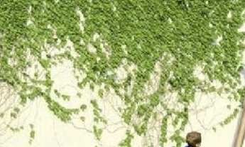 Imagem 5: Super Feirão House, Maria Isabel, Casas de 2 quartos, No Araçagy