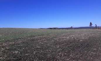 Imagem 6: Área de Lavoura para Venda, Toda Mecanizável não Aceita Permuta