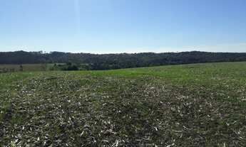 Imagem 2: Área de Lavoura para Venda, Toda Mecanizável não Aceita Permuta