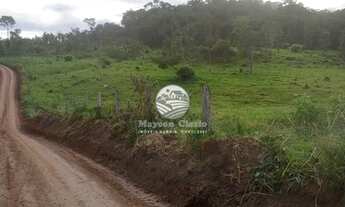 Imagem 4: Machadinho D'Oeste - Sítio - 15 Alqueires