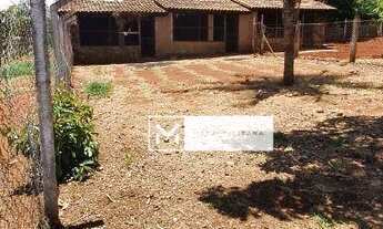 Imagem 7: Santo Antônio de Posse, Haras