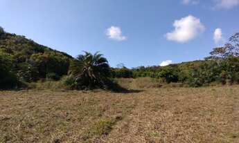 Imagem 6: Área rural 106 hectares em Conde Bahia