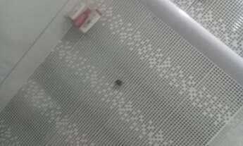 Imagem 6: Casa para venda possui 150 metros quadrados com 2 quartos