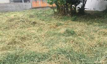 Imagem 3: Terreno no Bairro Campeche em excelente localização