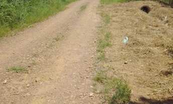 Imagem 2: Fazenda/Sítio/Chácara para venda tem 1250 metros quadrados em ZON - Alexânia - GO MCIMOVEI