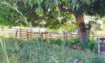 Imagem 5: Ótima negócio, Fazenda com 361 hectares em Monte do Carmo - TO
