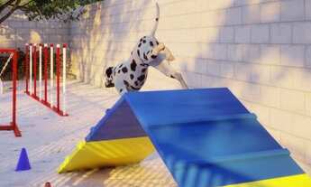 Imagem 7: Possui espaço gourmet, área verde de jardim, área de recreação infantil, espaço para festa