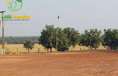 Imagem 15: FAZENDA À VENDA EM SANTA MARIA - TO - 3.789,72 HECTARES (DUPLA APTIDÃO