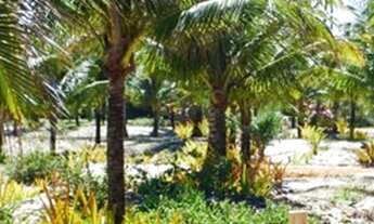 Imagem 2: Casa de condomínio para venda tem 306 metros quadrados com 3 quartos