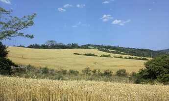Imagem 5: Fazenda Carolina