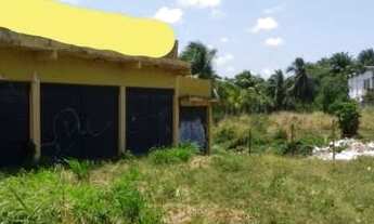 Imagem 3: Terreno totalmente plano em área privilegiada com 40.000 mts !