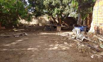 Imagem 3: Lote Comercial Colônia agrícola