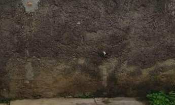 Imagem 4: Quot; Vendo casa em Jardim Carapina