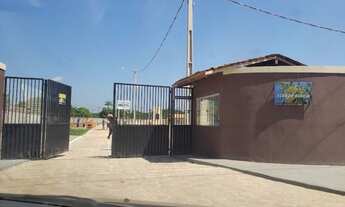 Imagem: FLOR DE ACÁCIA