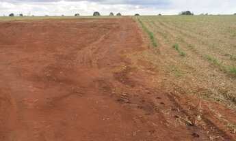 Imagem 6: Fazenda em santa vitória 37 alqueirão 11.840.000.00 ( ja - ali