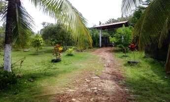 Imagem 5: Vendo sítio com 27.000m² próximo linha verde/Arembepe - R$ 450.000,00