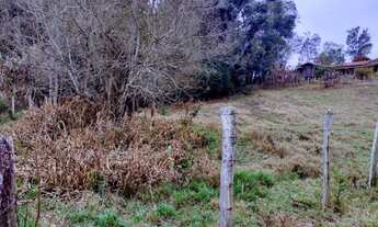 Imagem 3: Chácara com 4 dormitórios à venda, 18000 m² por R$ 230.000,00 - Zona Rural - Cachoeira de