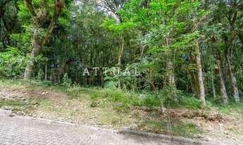 Imagem 4: CANELA - Terreno Padrão - Pinheiro Grosso