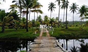 Imagem 7: Terreno na Praia