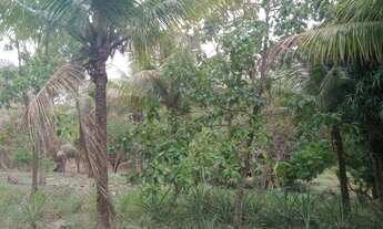 Imagem 4: Maravilhoso sitio - Saquarema - RJ