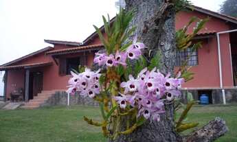 Imagem 2: Sítio com 06 dormitórios à venda, 169400 m² - Douradinho - Piedade/SP