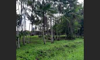 Imagem 4: Sítio em Barcarena localização privilegiada