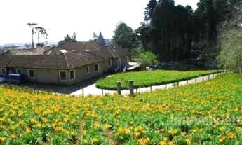 Imagem 6: Castelo Alphaville