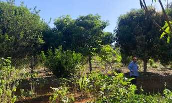 Imagem 6: Fazenda 13,1ha em Pedro Leopoldo, região da Serra do Cipó