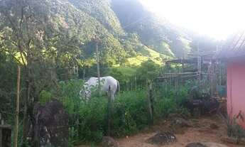 Imagem: SITIO RURAL em Macaé - RJ, Bicuda Grande