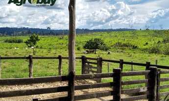 Imagem 4: Fazenda Com 405 Alqueires Localizada em Marabá-Pá