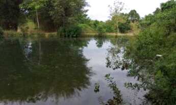 Imagem: 100 alqueires Fazenda Pirenópolis