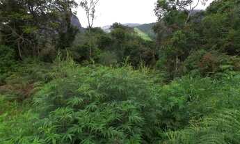 Imagem 3: Terreno em Santa Rita - Teresópolis R,J