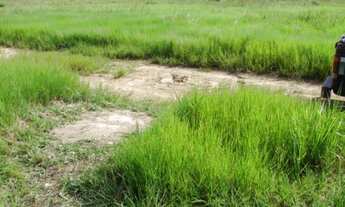 Imagem 6: Fazenda de 3323 alqueires no Vale do Araguaia