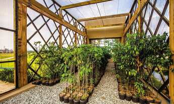 Imagem 7: RESERVA CAMBORIU