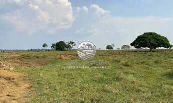 Imagem 5: Alvorada D'Oeste - Fazenda - Alvorada