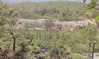 Imagem 4: 8 km S. Jorge ao lado asfalto