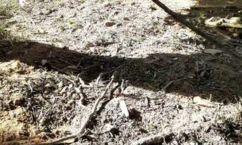 Imagem 4: Lote/Terreno para venda no Frade - Macaé/RJ