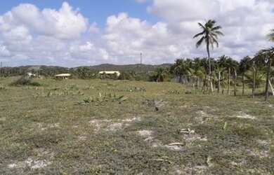 Imagem 7: Lote em Sítio do Conde, 1.755 m²