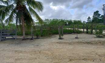 Imagem: FAZENDA Á VENDA EM BRASIL NOVO - PA - 663,08