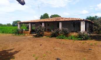 Imagem 6: Fazenda com 530 hectares em Campo Maior -Piauí, terra para lavoura, excelente solo!