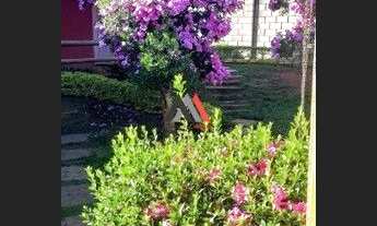 Imagem 4: Excelente Sitio em Lagoa Santa