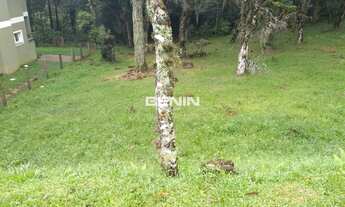 Imagem 3: CANELA - Terreno Padrão - CENTRO