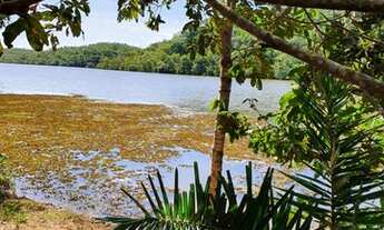 Imagem 6: Ótima negócio, Fazenda com 361 hectares em Monte do Carmo - TO